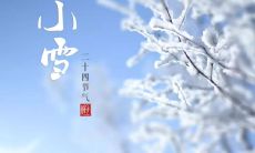 美丽浪漫的小雪，在霜雪纷飞中诞生出的令人陶醉的诗句和情感表达