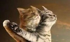 情感低落的痛苦倾诉：悲伤的心情话语