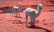 湛蓝的天空与温暖的阳光相伴，令人心花怒放，如泉涌般的欢乐洋溢于全身！