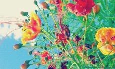 七号小组口号揭秘：笑死人不偿命的口号大集合！