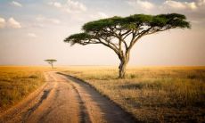 感人至深的短语，让分手对方心疼不已