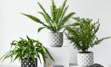 收集关于亲情的引人入胜的语句，以激励人们珍惜家庭和亲人的珍贵关系