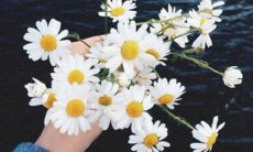 让你快乐开心的一些怀孕期间可以用的句子