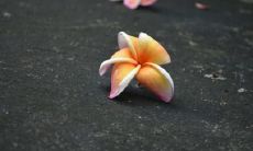 难以获得人际关系中友谊的殷切期待而受挫的句子