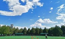 如何用文字形容美好的天气？探索最为恰当而细致入微的表达方法，让你的阅读者几乎感受到清新蔚蓝的天空和微风拂面的感觉