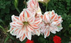 在朋友圈分享不开心句子的人可能经历了心理困扰或者情感挫折