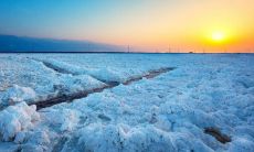 寻觅遗失的唯美句子：探讨错过而未曾品味的文学珠玑