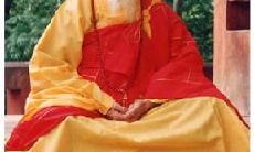 20句禅语由昌臻法师阐述，助您达成内心平静与启发灵感的境界