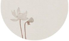 以友情为主角的瑰丽句子，透射出破裂的伤感与唯美！