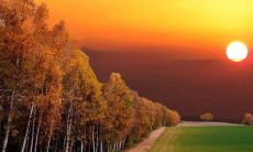 经典句子，让人无法自拔地爱着，称赞不断！