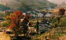 完美的一天！我充满幸福感，心情愉悦，充满了喜悦之情！