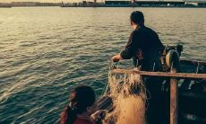 深刻而现实的人生感悟句子，让你重新审视生活的真谛