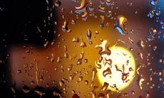 经过一整天的困扰，令人心烦的句子让人难以平静