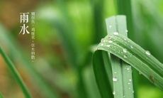 在雨水节气期间给客户发送短信的问候，如何做到恰到好处？