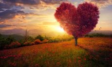 改写后的标题：房屋经纪人利用短信问候客户，建立良好的个人关系并促进交易成功