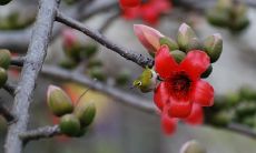 寻求帮助的问候短信：向朋友们请教的亲切问候方式