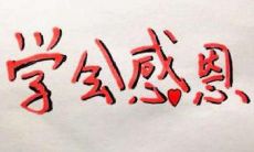 一份丰富详尽的感恩问候短信大合集，包含各种场合和对象的感激表达，让你的心意真切传达到每一个人！