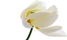 如何维持每天营造和谐氛围的关键工具：安排早晚问候短信！