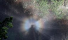 在下雨天分享快乐的句子，表达心情的美好幸福感受