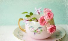 女性分享开心的话语笔录 — 超详尽的快乐语录大合集