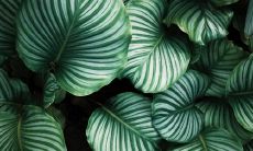 一份收获女友幸福的长篇句子清单，让她在你的关注下尽享快乐！