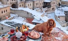 震撼人心的足球口号：威武雄壮，气势冲天，押韵响彻足坛！