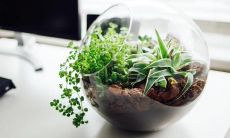 如果你正在经历一段心碎的时间，这些内心的句子能够概括你想念某个人的不开心情感