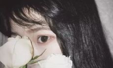 一些苦涩而真诚的话，道出了对爱情的失望