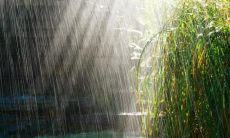 在炎热的夏日里，向您献上温馨的问候——夏季天气炎热应对短信