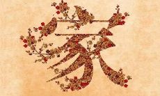 分享关于幸福、温暖的亲情：亲情之爱，一种独特的力量，给我们带来了无尽的快乐和幸福