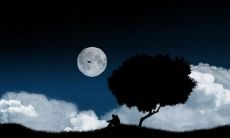 用短语表达心情：感到失望的话语，描述人让你感到失望的句子