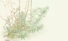 通过写下感激亲情的句子来表达对于至亲之爱的感恩之情