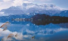 祝福大家度过快乐轻松的周五，开始一个充满希望和活力的周末！