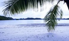 倒数几天迎接新年，让我们一起欢庆，快乐而充满希望的走进2022！