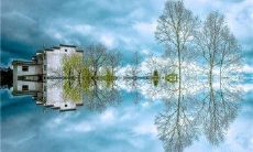 没有意义的后悔感受：一种毫无根据的情感陈述