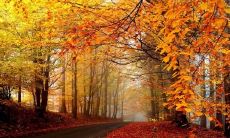 今天的快乐回忆——让你倍感幸福的特别开心短语