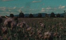 一篇充满温暖与三观正能量的文案，照亮你的心灵世界