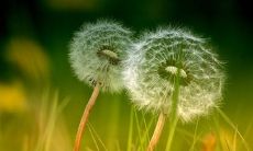 四十七句描绘人生的句子，以语言艺术揭示生命的复杂性与矛盾性