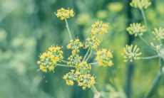 涵盖人生各个领域的经典励志短句深度挖掘，打造完美自我，实现人生价值！