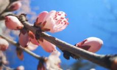 达一年的抗击疫情：疫情结束后的心情回顾与对未来的美好期许，一位普通人的感言