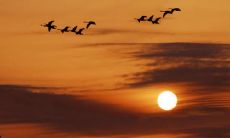 不得不说的是，那些事情做完之后悔不已的句子