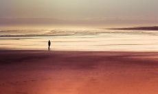 生活并非难以轻松，而是不易宽容眼中烦扰