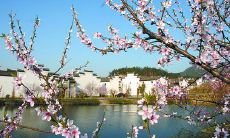 一些温暖快乐的句子，能够帮助我们带给他人幸福和快乐的感受