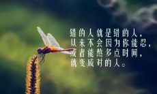 让生活充满正能量的28句简短心灵鸡汤励志句子