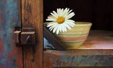 揭示自我陶醉与浮夸之下的多情文案写作特质