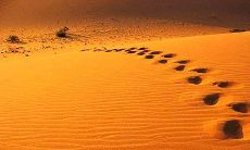 探索人生意义与哲学思考：富有哲理的言语