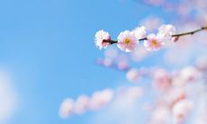 如何用简短的话语给人带来温暖？-冬季早晨暖心短语大全