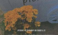 将情感温度收纳在备忘录中的温柔文案热评