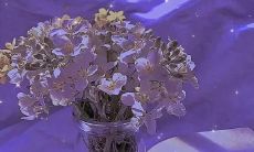 最新发布于2022年3月14日的文案：深度探究行业趋势、彰显品牌实力、赢得市场竞争优势！