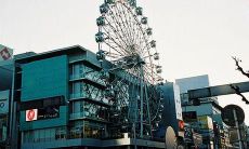 用句子表达珍视母爱、亲情的感受，以彰显人类感性一面